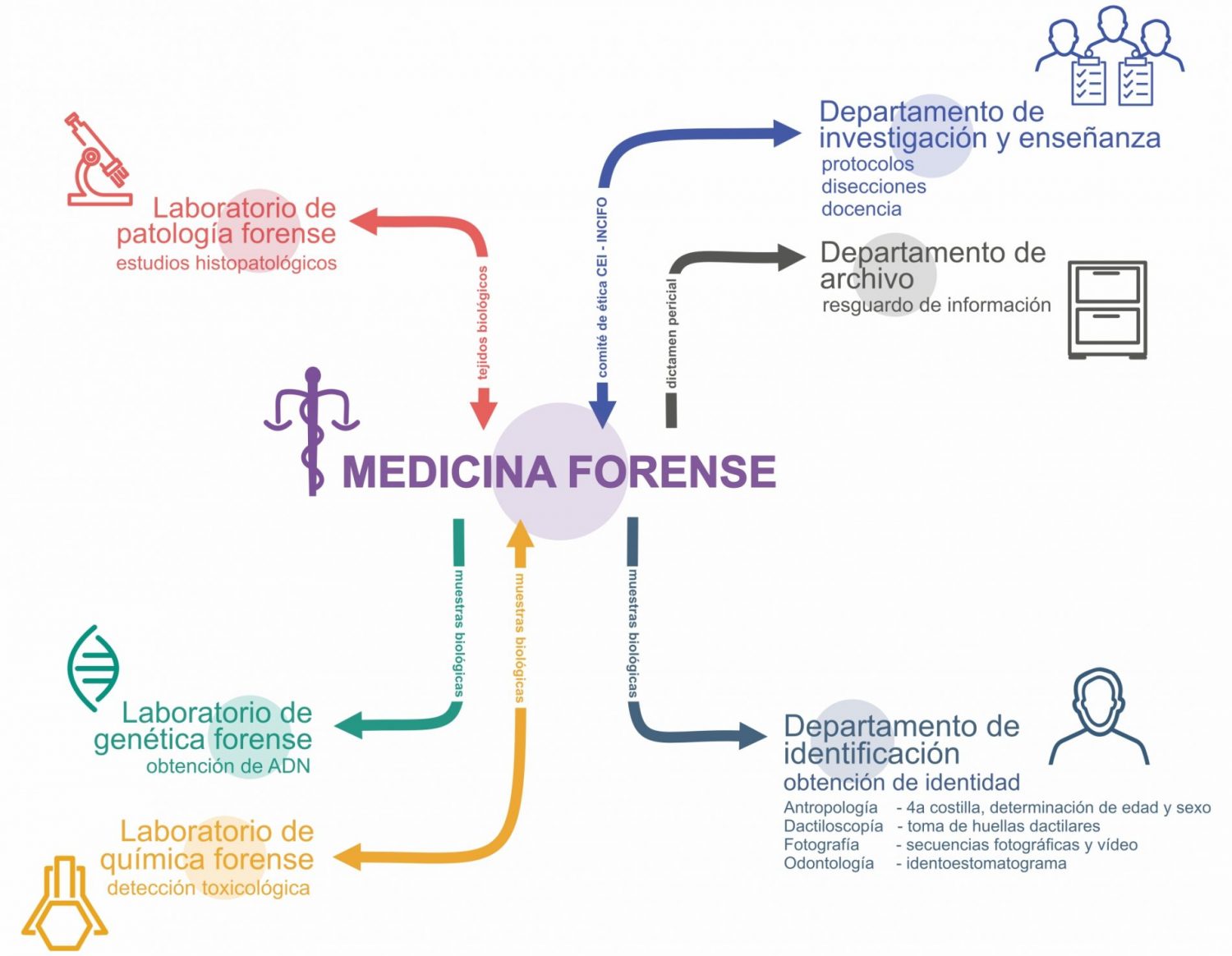 Relación laboratorios y dptos.